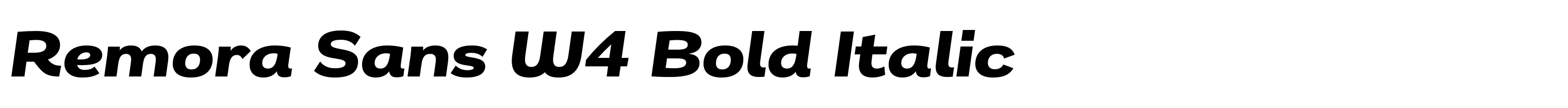 Remora Sans W4 Bold Italic